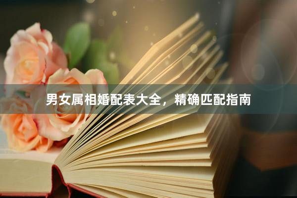 男女属相婚配表大全，精确匹配指南